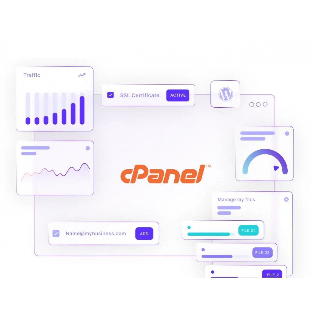 Web Hosting