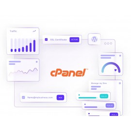 Web Hosting